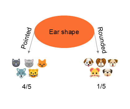 Entropie Calcul 1 illustration 500