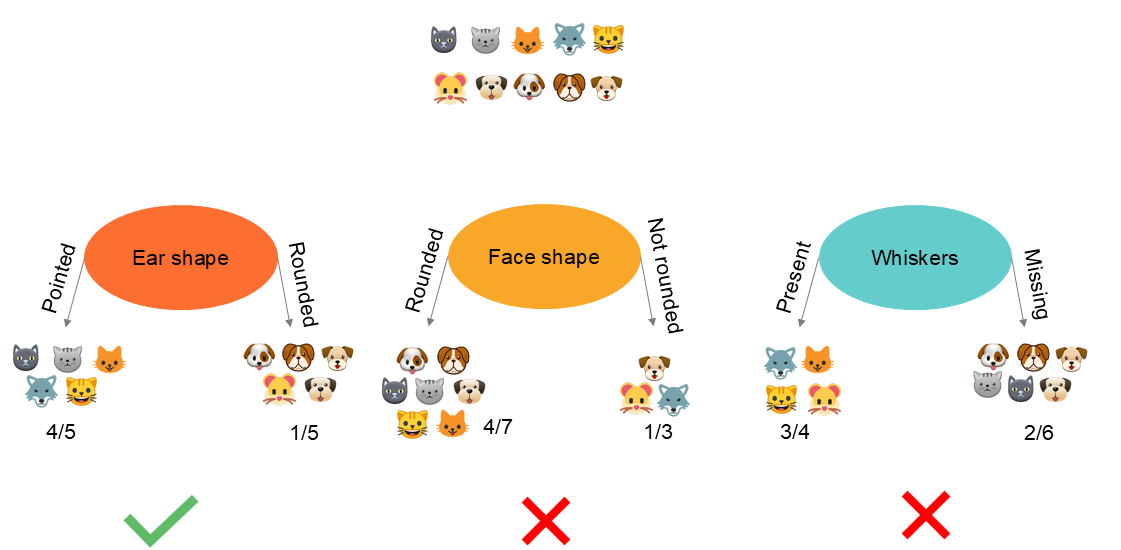 Decision Tree Root node repartition