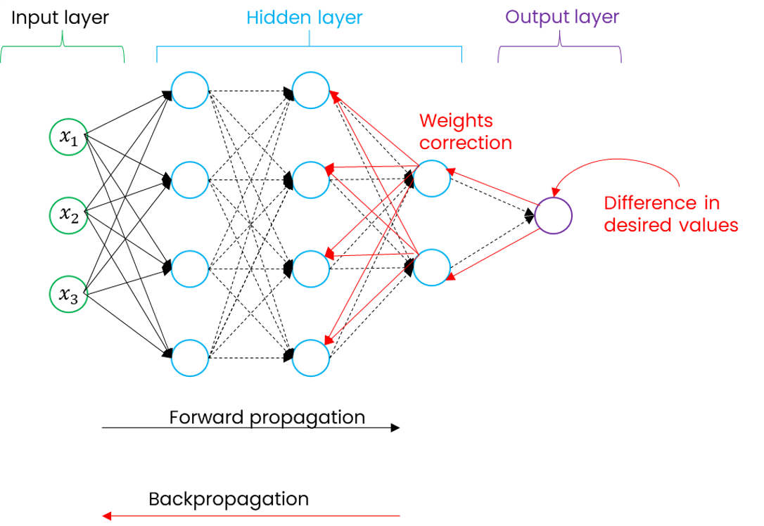 Forward_Backward_Propagation_Schema