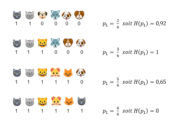 Decision Tree Entropy Explanation