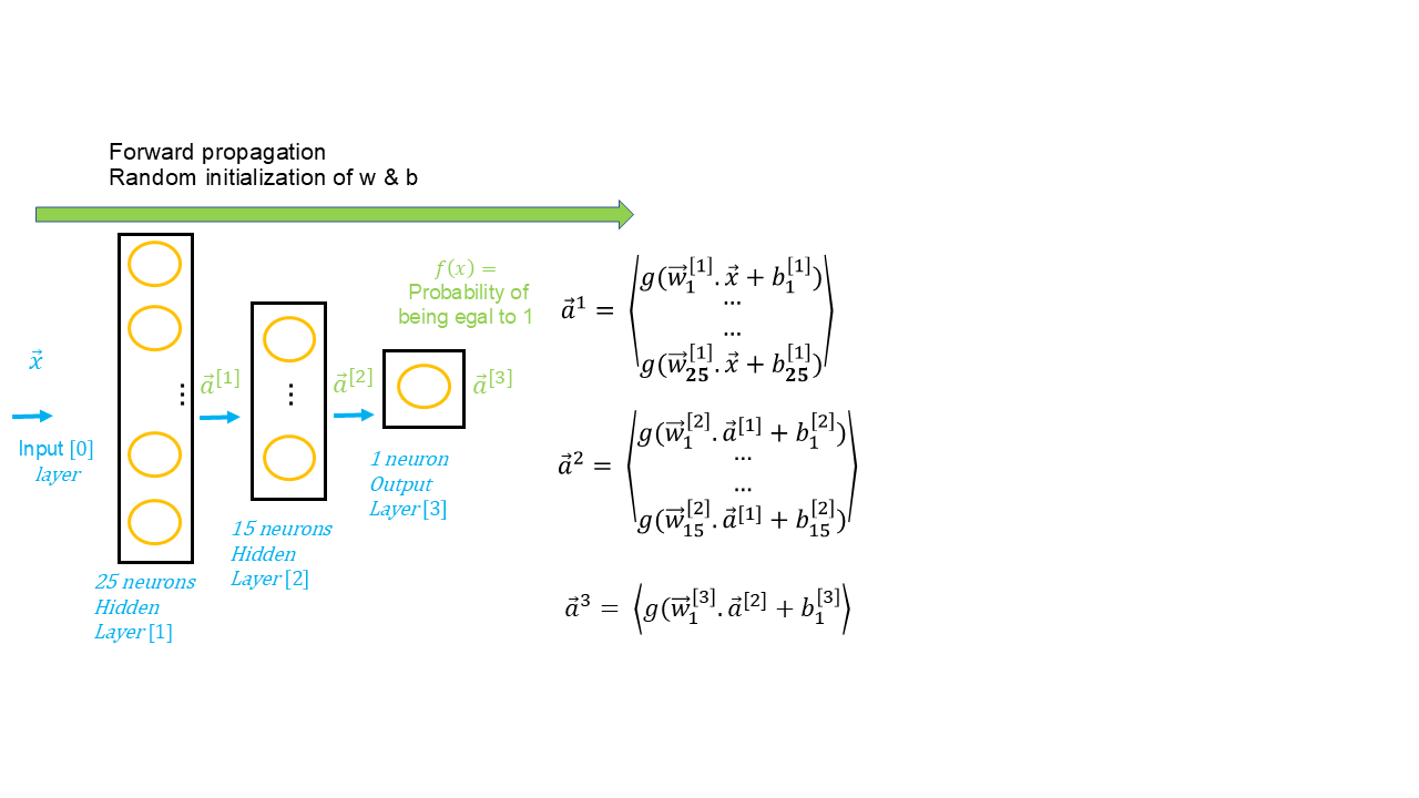 NNL_Forward_Propagation